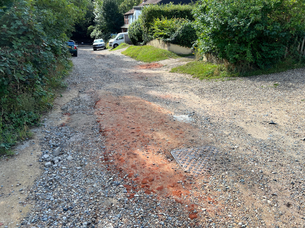 Photo by Jamie Holmes